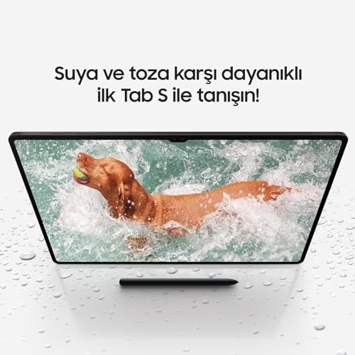 Samsung Galaxy Tab S9, 12GB RAM, 256GB Hafıza Tablet, Gri (Samsung Türkiye Garantili)