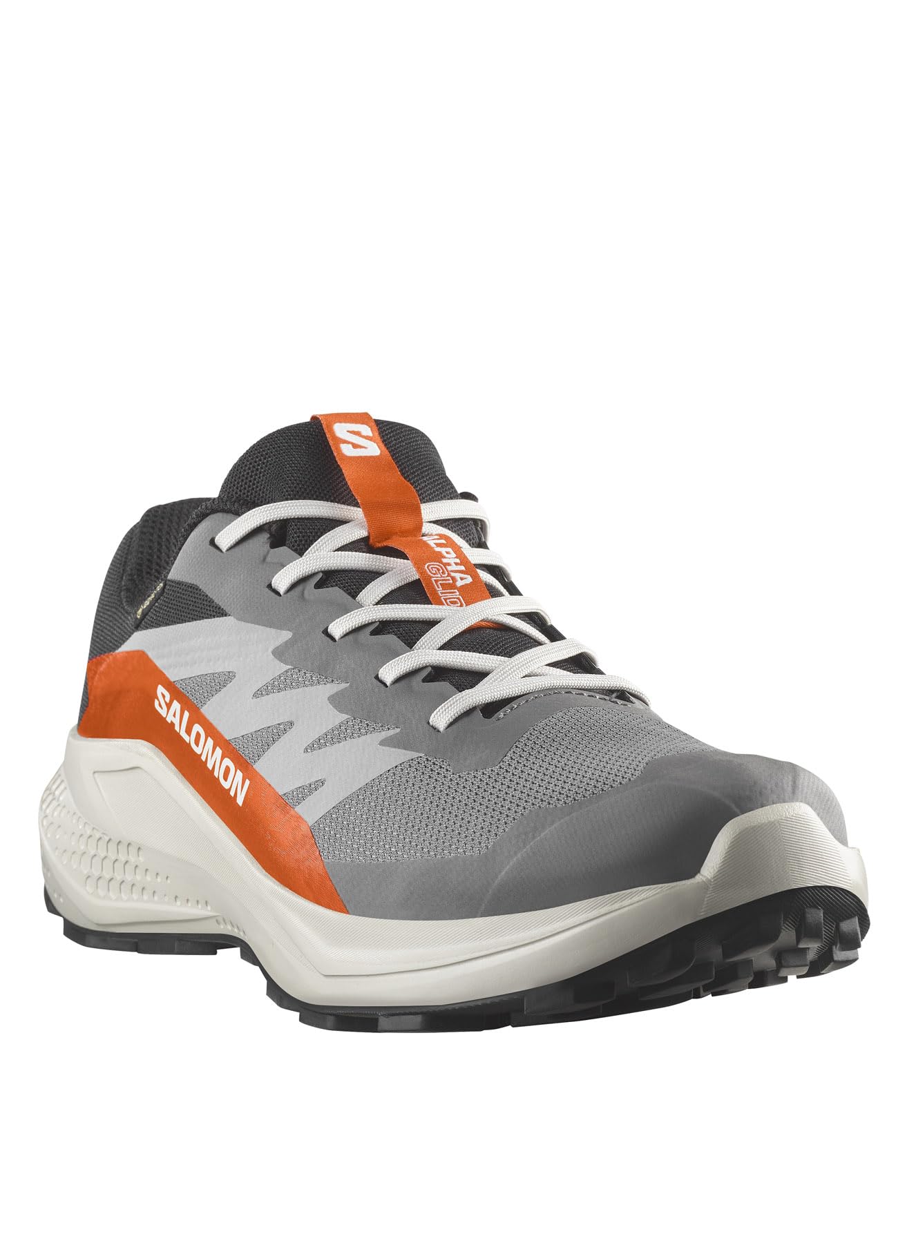 Alphaglide Gore-Tex Erkek Gri Outdoor Ayakkabı L47975300