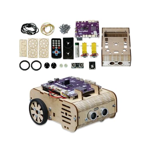 BerryBot Kodlanabilir Eğitim Robotu