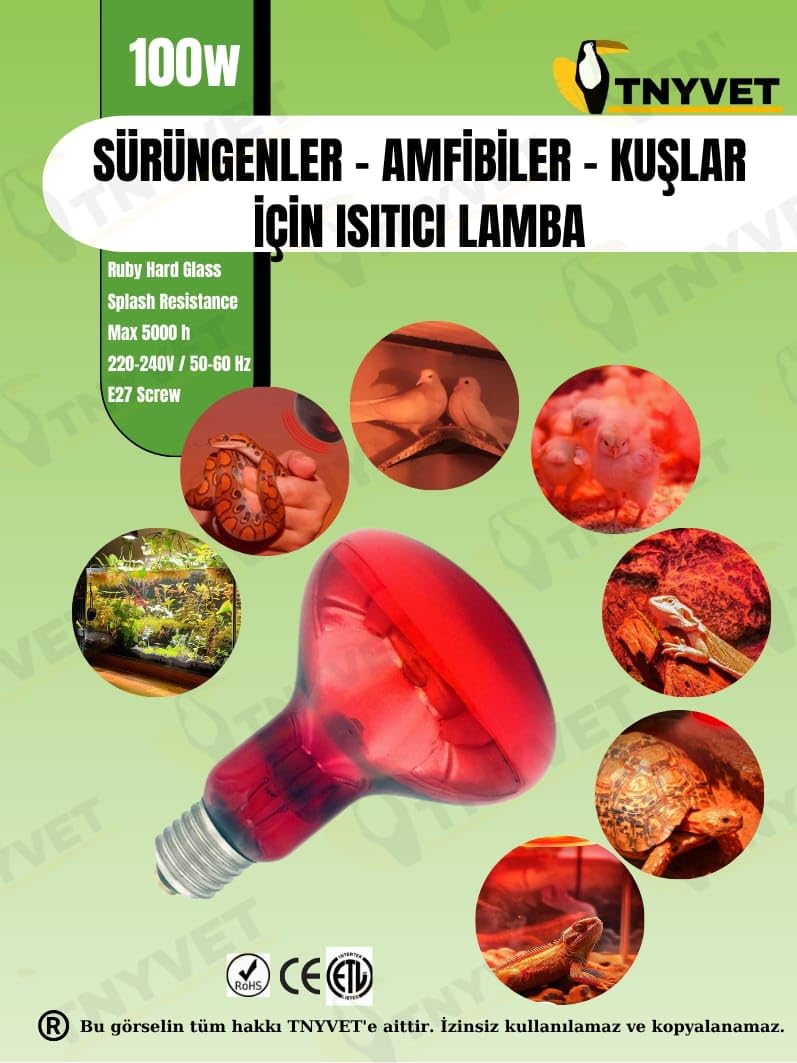 100 Watt Kızılötesi/Kırmızı Işık Isıtıcı Lambalar Sürüngenler, Amfibiler Ve Kuşlar Için