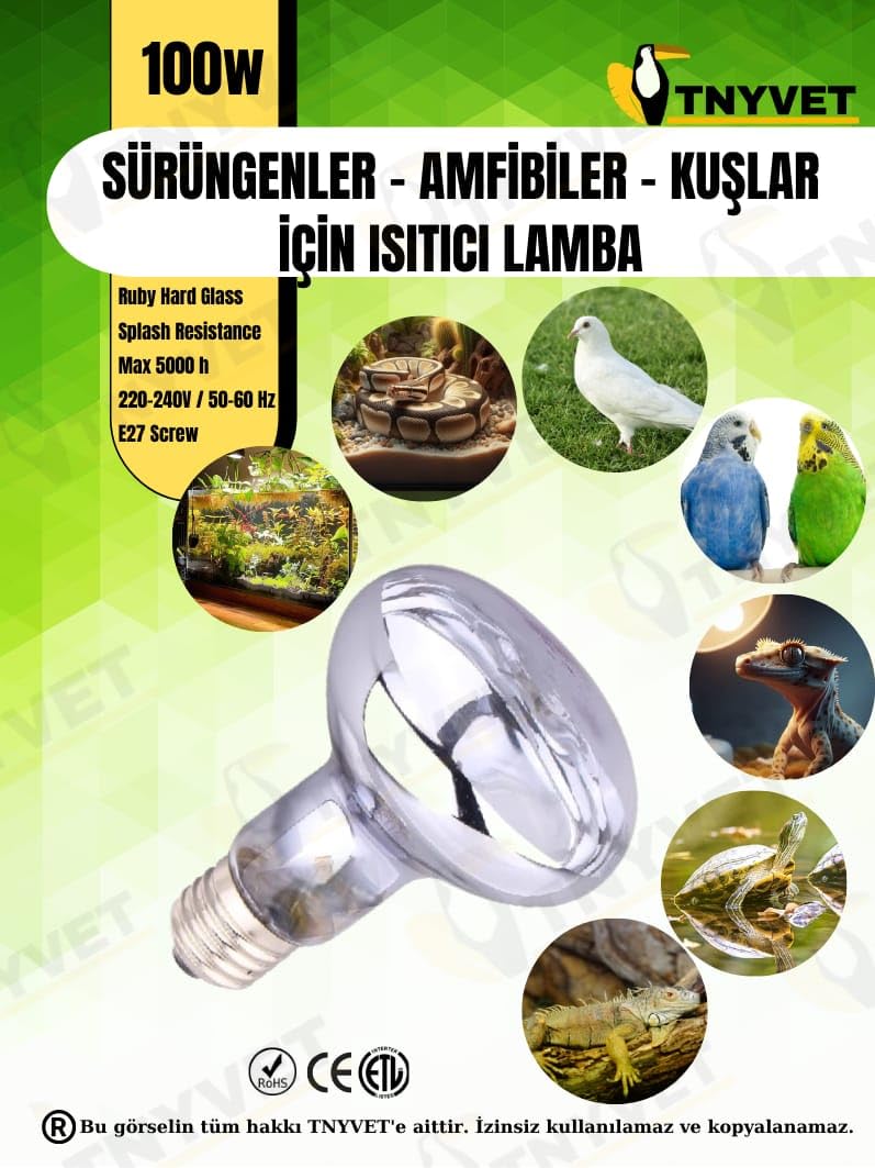 TNYVET 100 Watt Kızılötesi/Gün Işığı Güneş Lambası Isıtıcı Lambalar Sürüngenler, Amfibiler Ve Kuşlar Için