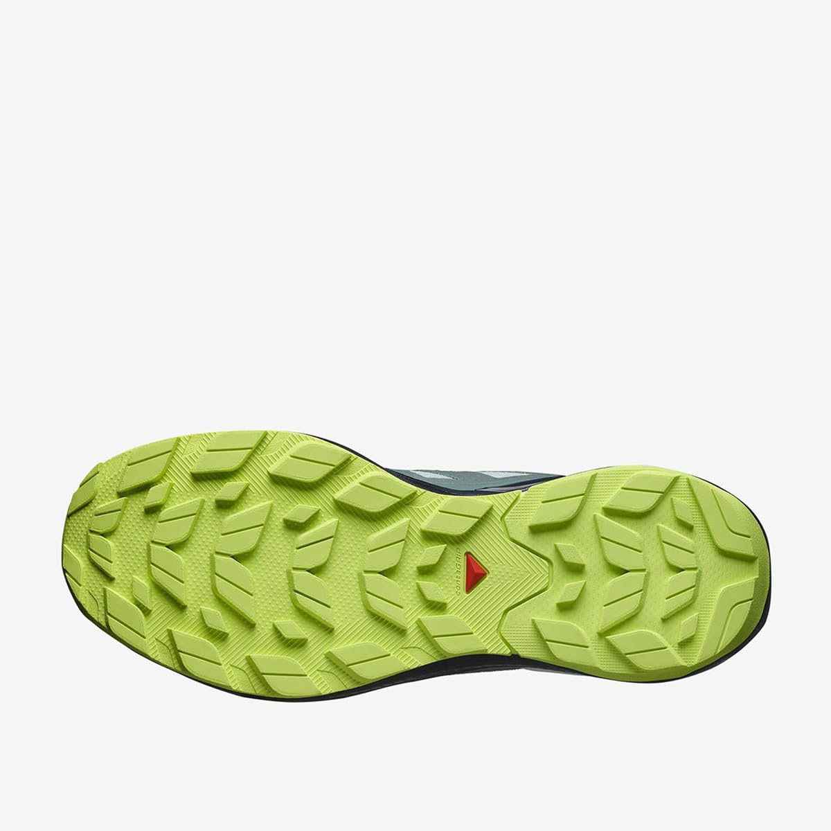 Salomon Erkek Outdoor Ayakkabı Elixir Activ, Çok Renkli, 46 Beden