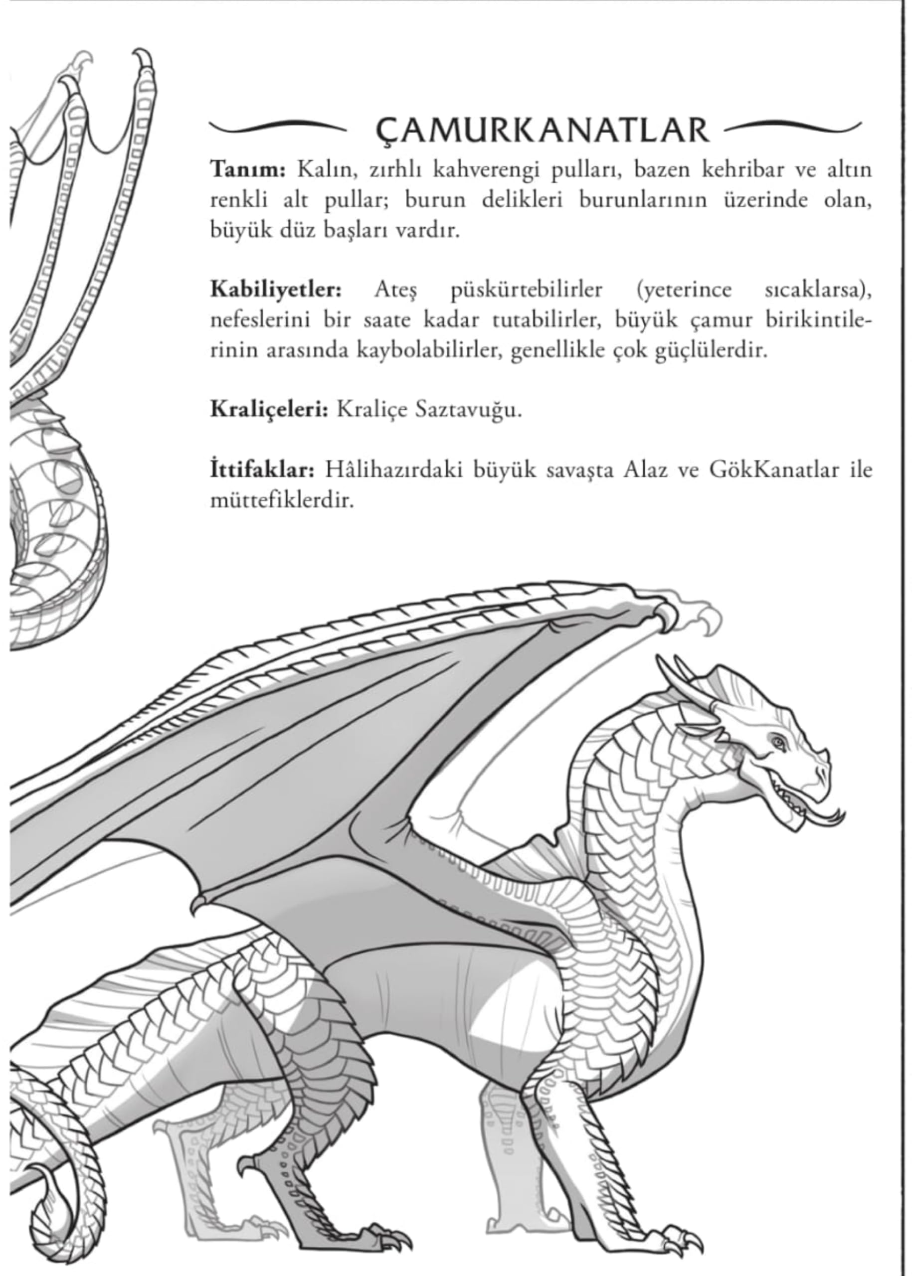 Çocuk Macera Seti (9-11 Yaş) - 11 Kitap: Ateşten Kanatlar & Kahramanlar Takımı Serileri