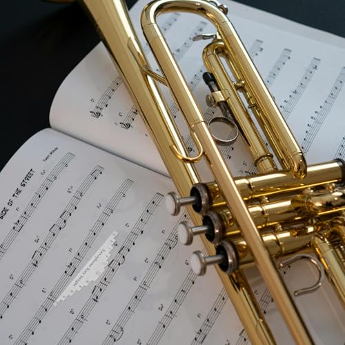 Hemoton Alto Saksafon Metal Tamir Ölçüm Aleti Rüzgar Enstrümanı Bakım Aracı Ev ve Atölye İçin Seviye