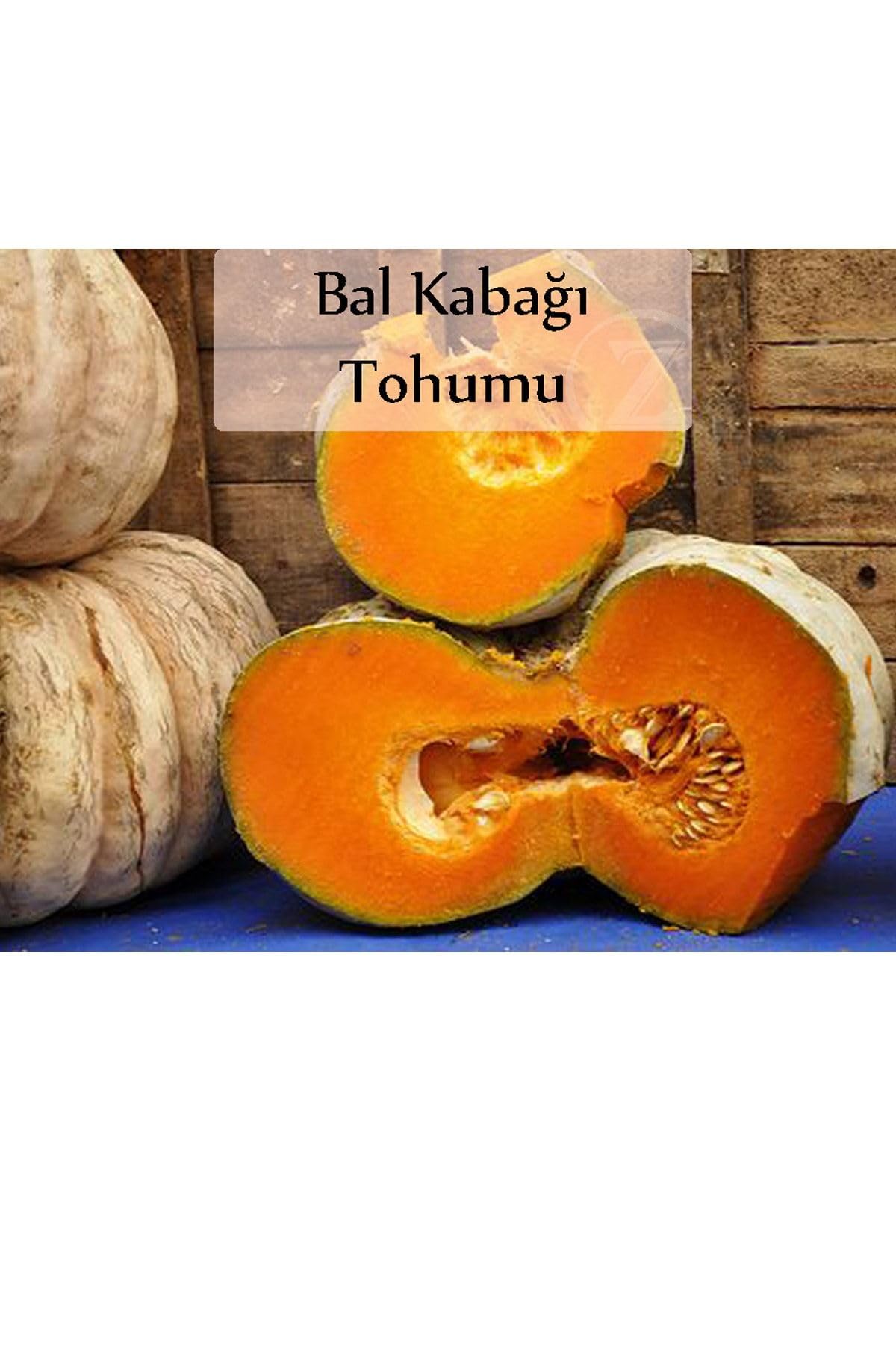 6 Paket Tohum No4 Hibrit F1 Salatalık Tohumları Domates - Frenk Maydanozu Tohumu Havuç Tohumu ...