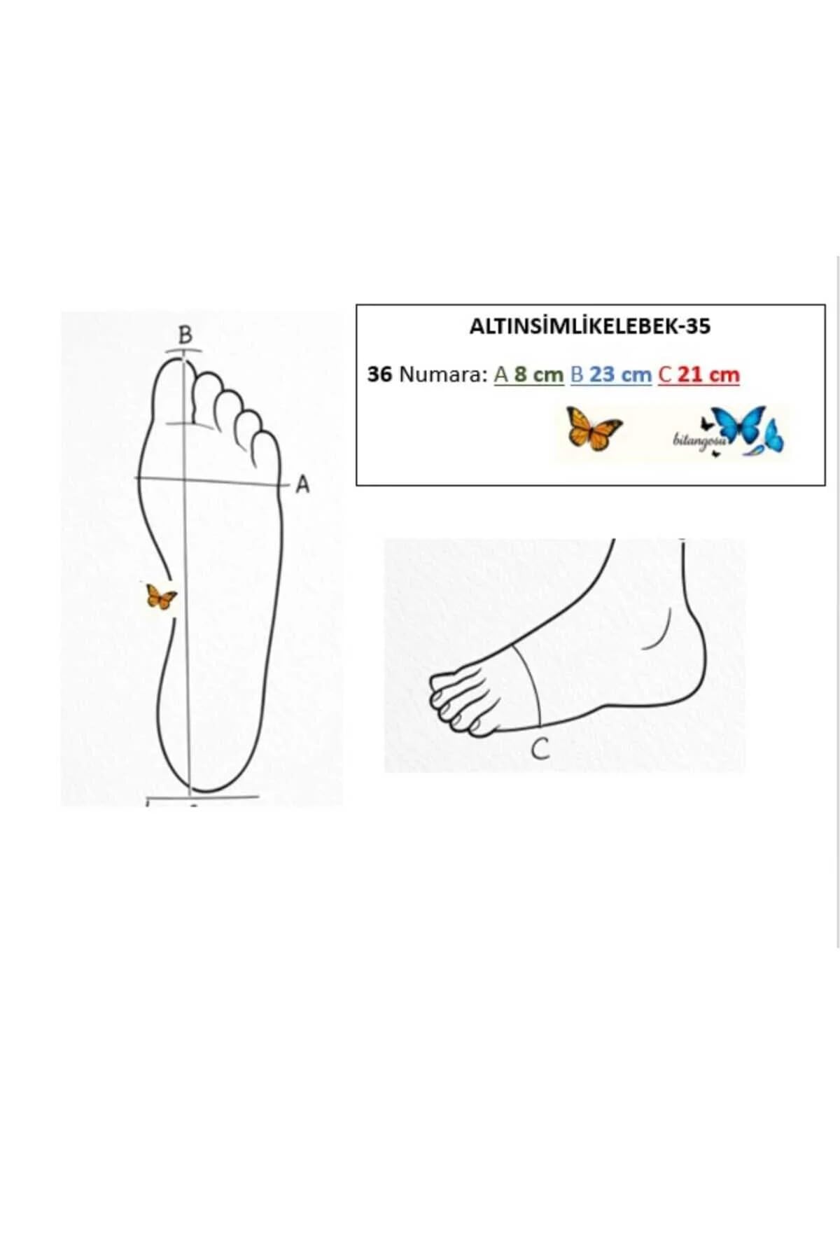 DORE SİM KEBELEK MODEL-TÜM ZAMANLARIN RENGİ TANGO-DANS VE SALON AYAKKABISI 8,5 CM(13 PONT) TOPUK BOYU (EU Ayakkabı Beden Sistemi, Yetişkin, Sayısal, Orta, 35)
